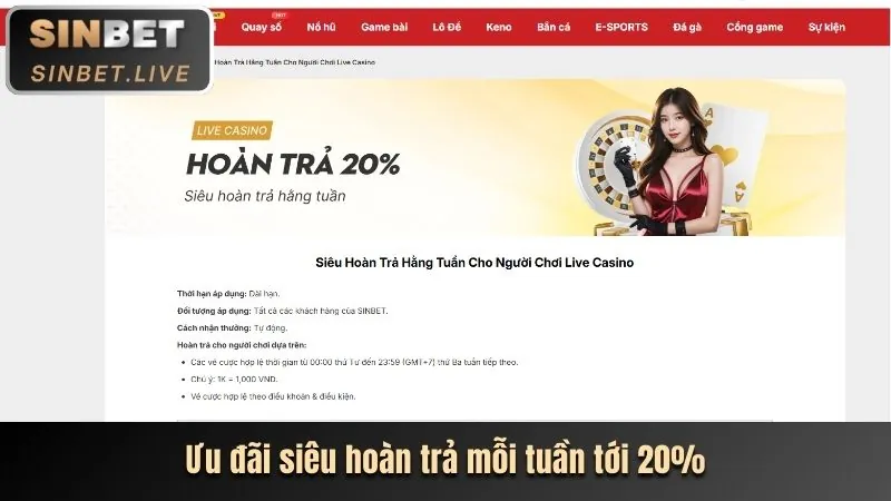 Trò chơi sòng bạc trực tiếp Baccarat tại 6ff3